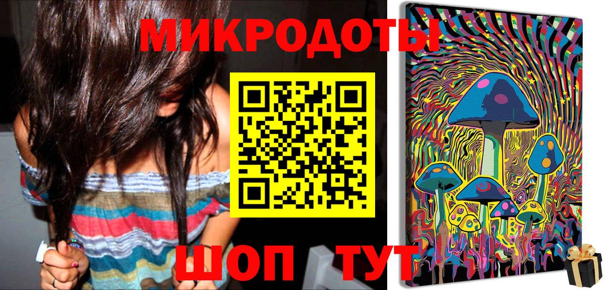 закладка  Вход с VPN  Сланцы  Псилоцибиновые грибы Psilocybe 